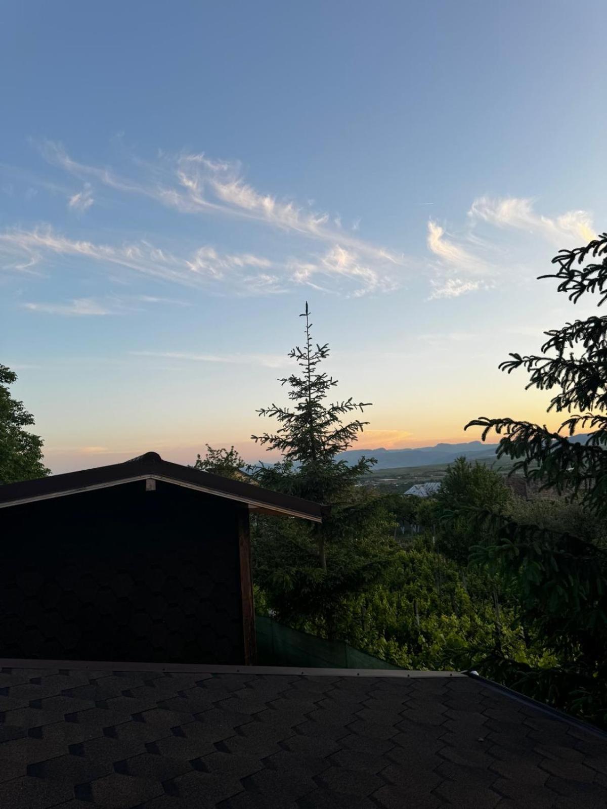 Zenyt Home Turda Bagian luar foto